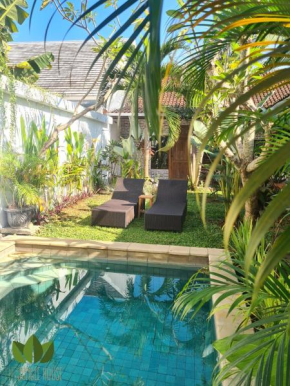 The Jungle House